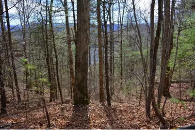 00 Chestnut Ridge, Robbinsville, NC 28771 - Photo 6