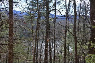 00 Chestnut Ridge, Robbinsville, NC 28771 - Photo 1