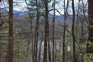 00 Chestnut Ridge, Robbinsville, NC 28771 - Photo 1