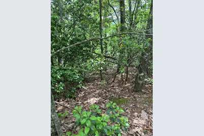 00 Top Horseshoe Ridge, Murphy, NC 28906 - Photo 2