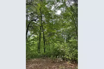 00 Top Horseshoe Ridge, Murphy, NC 28906 - Photo 6
