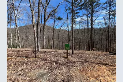 Lot 164 Tracks Hollow, Murphy, NC 28906 - Photo 2