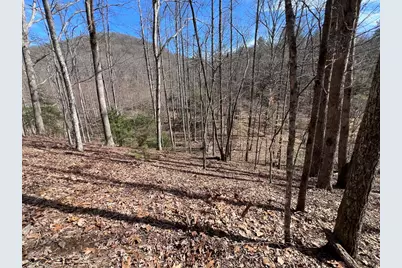 Lot 164 Tracks Hollow, Murphy, NC 28906 - Photo 4