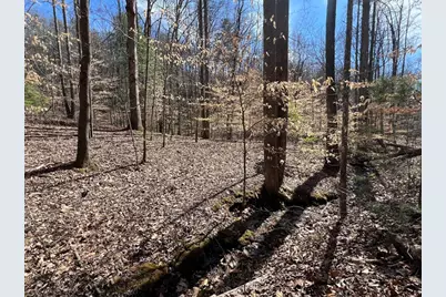 Lot 164 Tracks Hollow, Murphy, NC 28906 - Photo 6