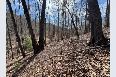Lot 164 Tracks Hollow, Murphy, NC 28906 - Photo 12