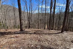 Lot 164 Tracks Hollow, Murphy, NC 28906 - Photo 1