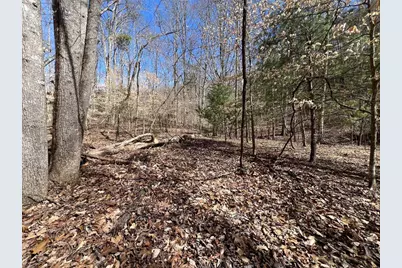 Lot 164 Tracks Hollow, Murphy, NC 28906 - Photo 10