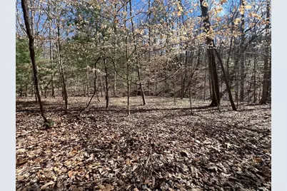 Lot 164 Tracks Hollow, Murphy, NC 28906 - Photo 8