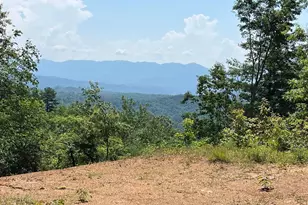 501 Cliff Top Trl, Andrews, NC 28901 - Photo 1