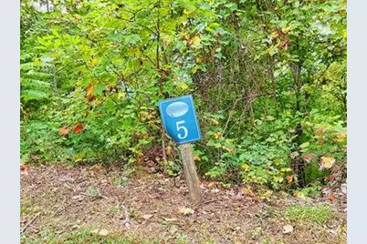 Lot 5 Skyview Drive, Hayesville, NC 28904 - Photo 1