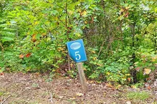 Lot 5 Skyview Dr, Hayesville, NC 28904 - Photo 1