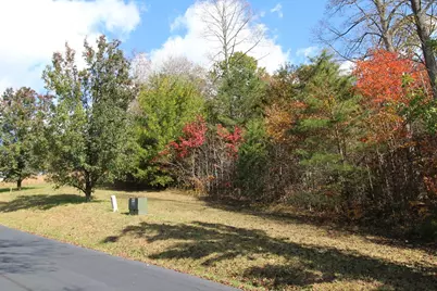 Lot 17 Old Taylors Ferry Ridge, Murphy, NC 28906 - Photo 4