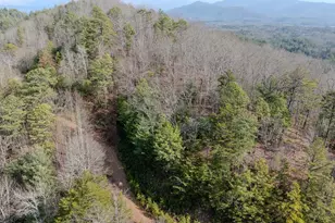 257 Scottie Mountain Cir, Murphy, NC 28906 - Photo 1
