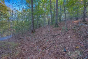 32 Rollingwood Ln, Murphy, NC 28906 - Photo 32