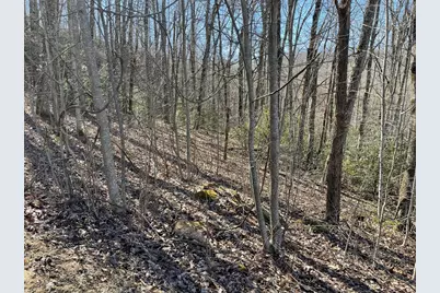 Lot 34J Ash Branch Road, Hayesville, NC 28904 - Photo 2