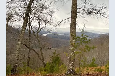 Lot 137 Shiloh Ridge, Hayesville, NC 28904 - Photo 4