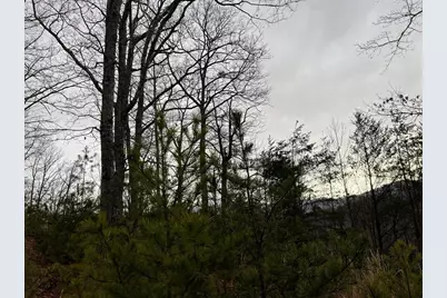 Lot 137 Shiloh Ridge, Hayesville, NC 28904 - Photo 14