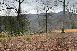 Lot 137 Shiloh Ridge, Hayesville, NC 28904 - Photo 1