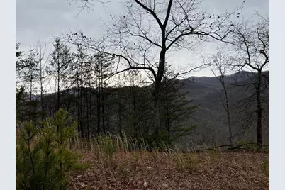 Lot 137 Shiloh Ridge, Hayesville, NC 28904 - Photo 10