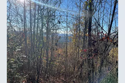 41 42 43 Ridges, Hayesville, NC 28904 - Photo 8