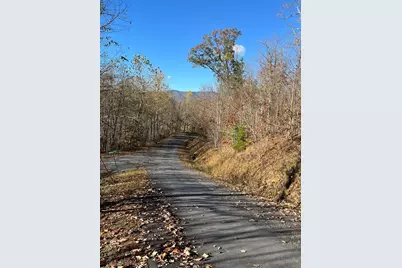 41 42 43 Ridges, Hayesville, NC 28904 - Photo 6