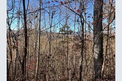 41 42 43 Ridges, Hayesville, NC 28904 - Photo 14