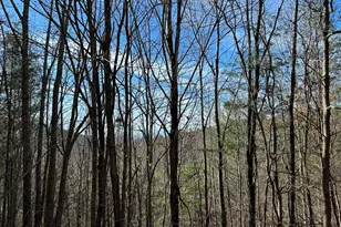 5 Lots Ali Dr, Hayesville, NC 28904 - Photo 1