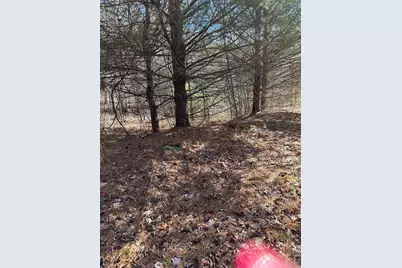 5 Lots Ali Drive, Hayesville, NC 28904 - Photo 4