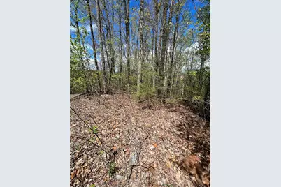 33 35 36 J Ash Branch, Hayesville, NC 28904 - Photo 4