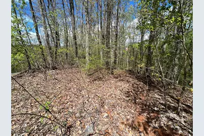 33 35 36 J Ash Branch, Hayesville, NC 28904 - Photo 6