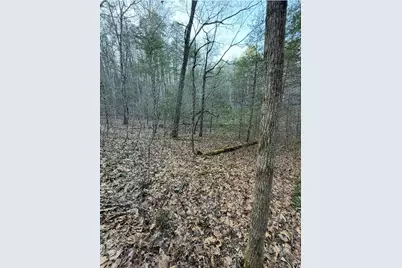 Tbd Grape Creek Road, Murphy, NC 28906 - Photo 12