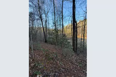 Tbd Grape Creek Road, Murphy, NC 28906 - Photo 6