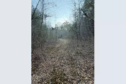 Tbd Grape Creek Road, Murphy, NC 28906 - Photo 18