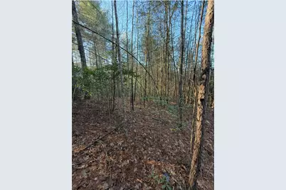 Tbd Grape Creek Road, Murphy, NC 28906 - Photo 8