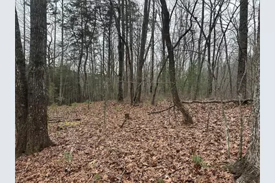 00 Marrestop, Murphy, NC 28906 - Photo 1