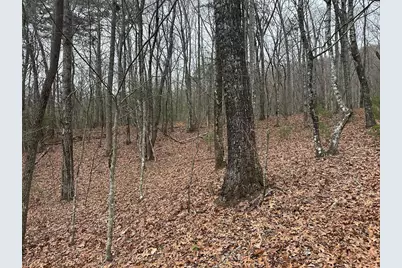 00 Marrestop, Murphy, NC 28906 - Photo 2