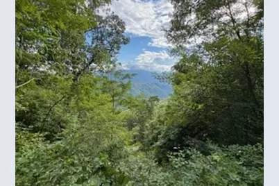Lot 30 Hickory Cove Road, Bryson City, NC 28713 - Photo 4