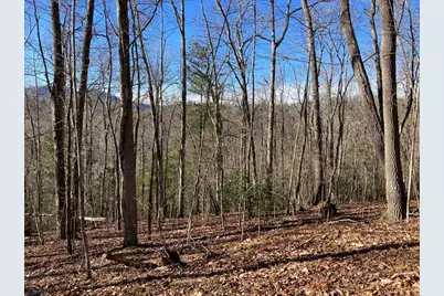 Lot 31 High Ridge Road, Murphy, NC 28906 - Photo 4