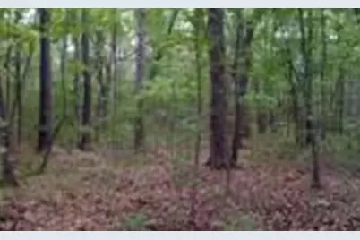 00 Lady Lane, Murphy, NC 28906 - Photo 1