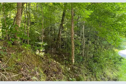 Lot 77 Fires Creek Cove, Hayesville, NC 28904 - Photo 14