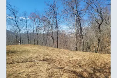 Sr 1229 Dry Creek, Robbinsville, NC 28771 - Photo 4