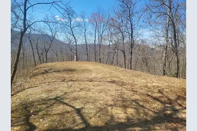 Sr 1229 Dry Creek, Robbinsville, NC 28771 - Photo 6