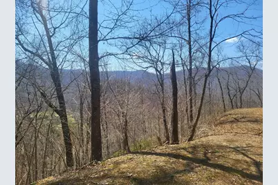 Sr 1229 Dry Creek, Robbinsville, NC 28771 - Photo 2