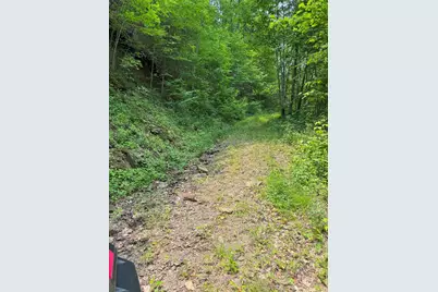 88 Acres Bolden Branch, Andrews, NC 28901 - Photo 14