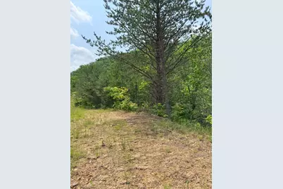 88 Acres Bolden Branch, Andrews, NC 28901 - Photo 24