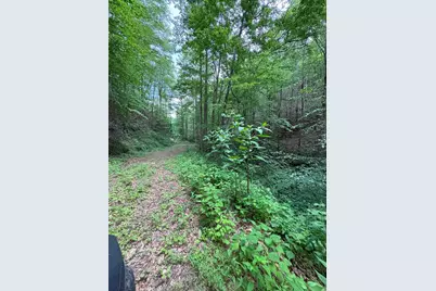 88 Acres Bolden Branch, Andrews, NC 28901 - Photo 32