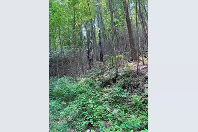88 Acres Bolden Branch, Andrews, NC 28901 - Photo 6