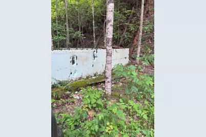 88 Acres Bolden Branch, Andrews, NC 28901 - Photo 34