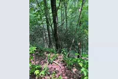 88 Acres Bolden Branch, Andrews, NC 28901 - Photo 16
