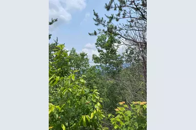 88 Acres Bolden Branch, Andrews, NC 28901 - Photo 22